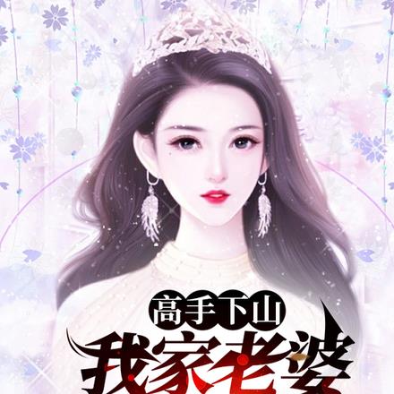 小说高手下山我的白富美老婆