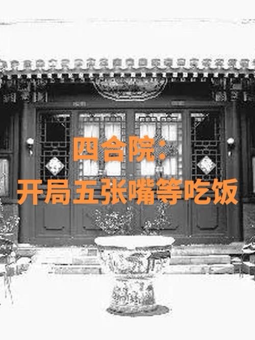 四合院:开局五张嘴等吃饭TXT