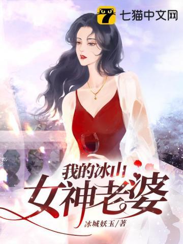 我的冰山女神老婆2