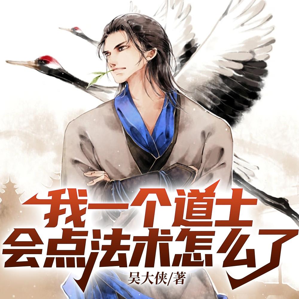 传法道师小说