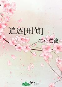 追逐什么意思