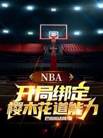 NBA之开局绑定纳什模板全文阅读