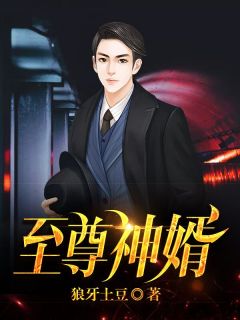 至尊神婿叶昊郑漫儿全文免费阅读完整版