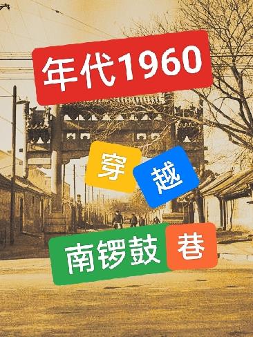 1960南锣鼓巷小说