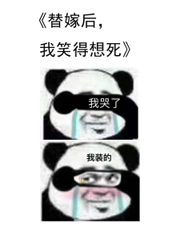 小说替嫁以后