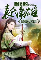 三国之袁家我做主下载