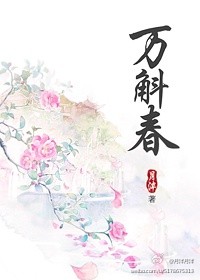 万斛新能源开发有限公司