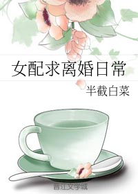 女配求离婚日常视频