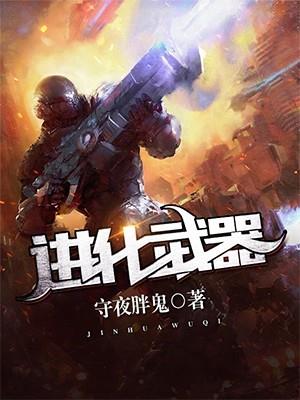 进化武器实际加多少攻击力