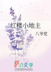 红楼小说完本经典之作