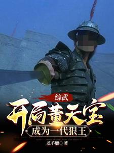 综武开局董天宝成为一代狠王起点