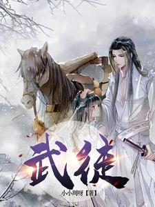 武徒武士武师等级的小说