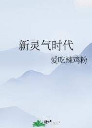 新灵越13pro