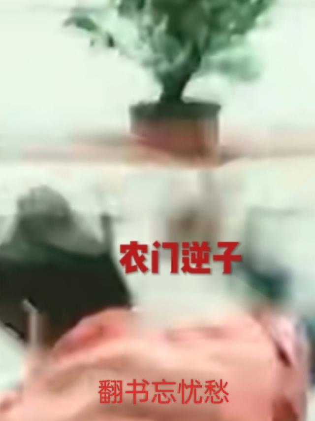 农门的小说