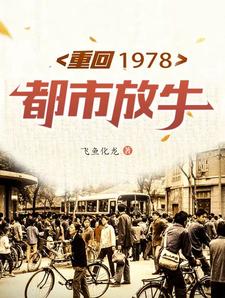 重返1978小说下载