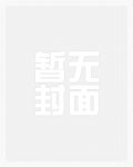 官场:从一等功臣到省委书记txt