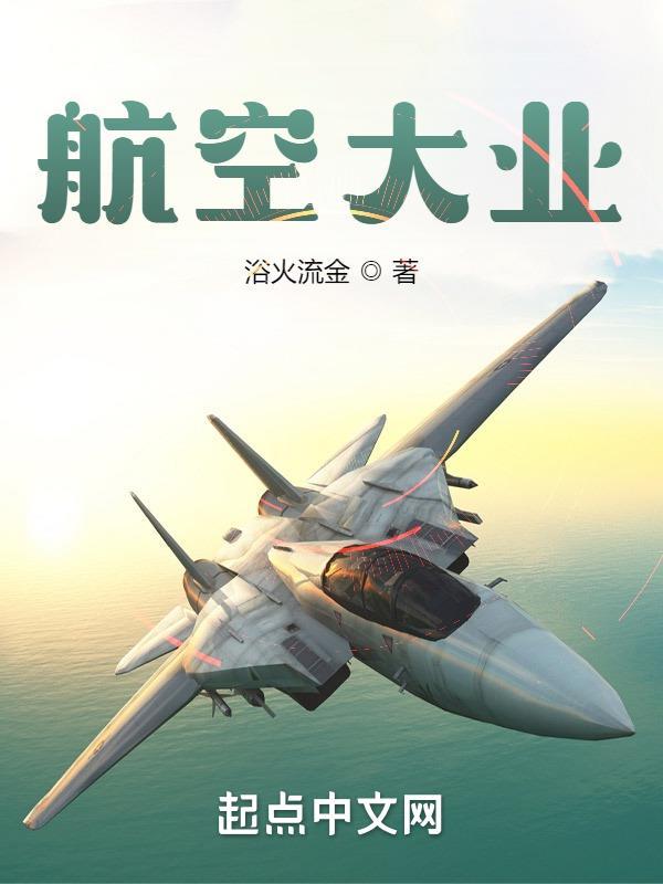 航空大业txt