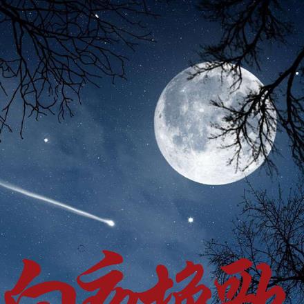 白夜挽歌什么意思