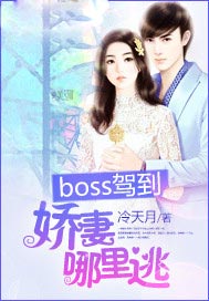 boss来袭娇妻一胎双宝