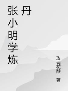 张小明故乡情